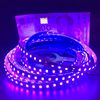 Светодиодная лента ультрафиолетовая 5050 (120 LED 12В) Taslauk 1м Светодиодная лента ультрафиолетовая 5050 (120 LED 12В) Taslauk 1м