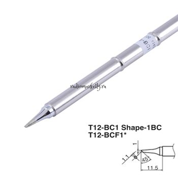  T12-BCF1